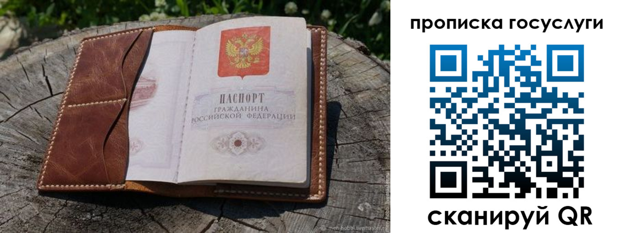 прописка для школы в Заволжье